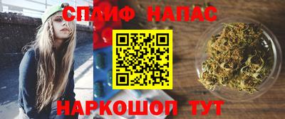 спиды Будённовск