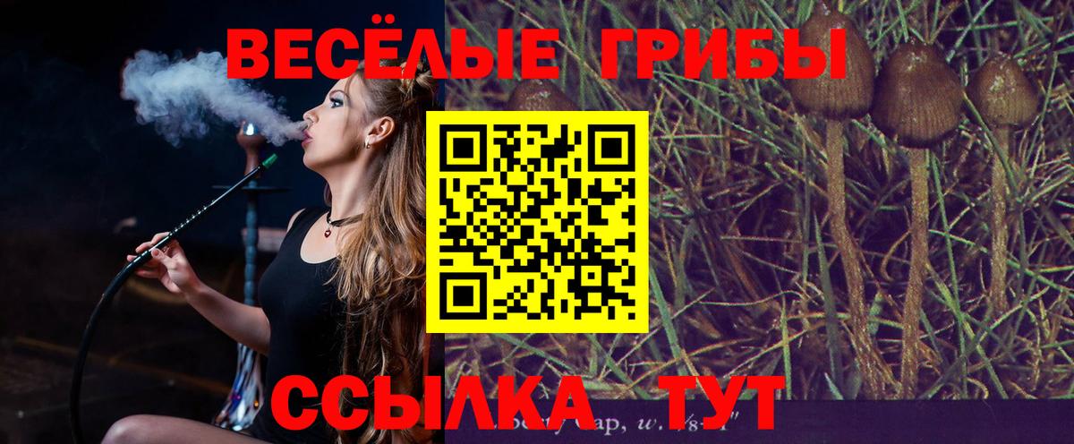 Псилоцибиновые грибы ЛСД Краснокаменск