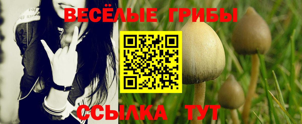 Псилоцибиновые грибы Magic Shrooms  Вход с VPN  Псилоцибиновые грибы Cubensis  Краснокаменск 